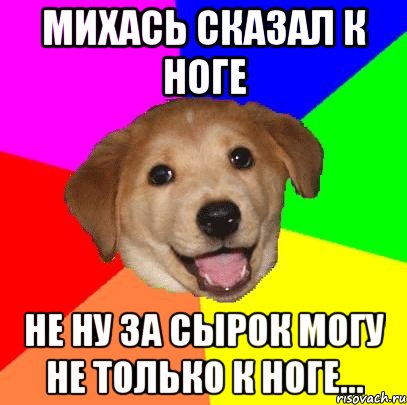 михась сказал к ноге не ну за сырок могу не только к ноге..., Мем Advice Dog