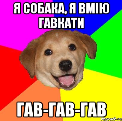 я собака, я вмію гавкати гав-гав-гав, Мем Advice Dog