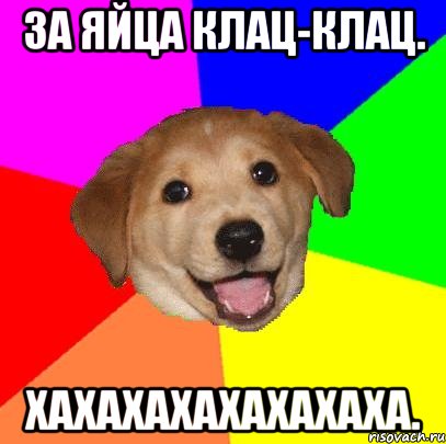 за яйца клац-клац. хахахахахахахаха., Мем Advice Dog