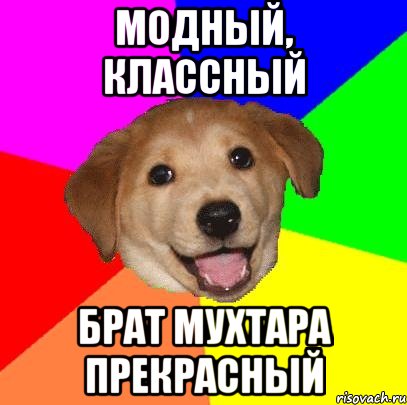 модный, классный брат мухтара прекрасный, Мем Advice Dog