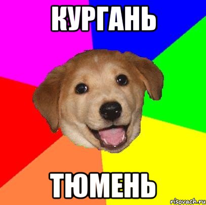 кургань тюмень, Мем Advice Dog