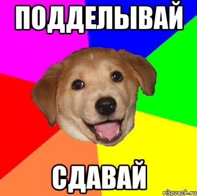 подделывай сдавай, Мем Advice Dog