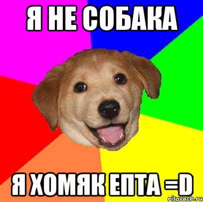 я не собака я хомяк епта =d, Мем Advice Dog