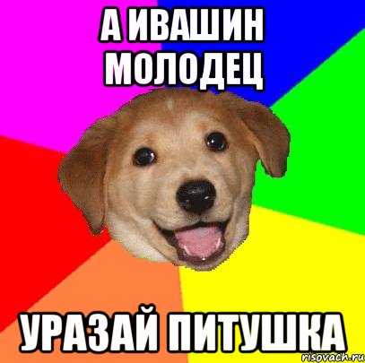 а ивашин молодец уразай питушка, Мем Advice Dog