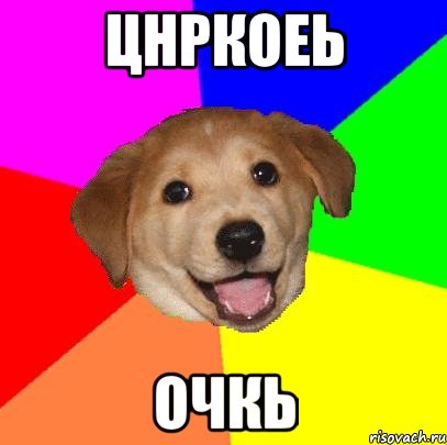 цнркоеь очкь, Мем Advice Dog