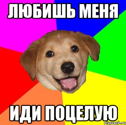 любишь меня иди поцелую, Мем Advice Dog