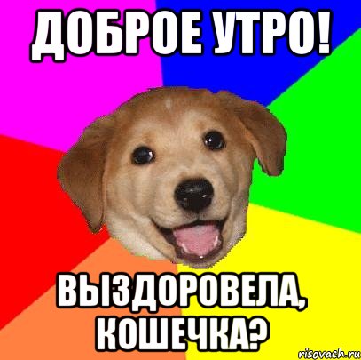 доброе утро! выздоровела, кошечка?, Мем Advice Dog