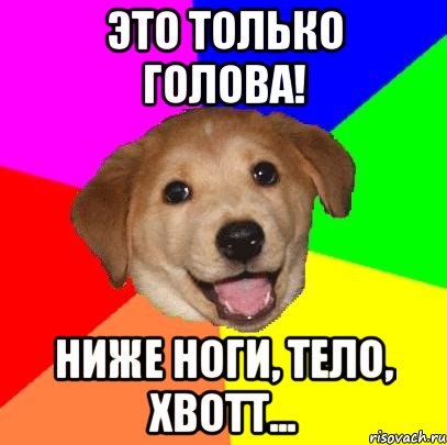 это только голова! ниже ноги, тело, хвотт..., Мем Advice Dog