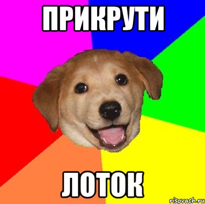 прикрути лоток, Мем Advice Dog