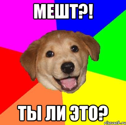 мешт?! ты ли это?, Мем Advice Dog