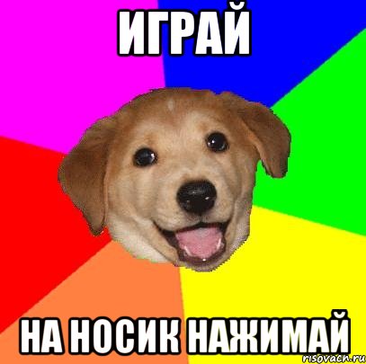 играй на носик нажимай, Мем Advice Dog