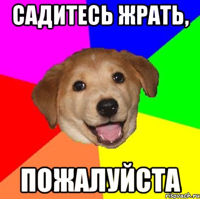 садитесь жрать, пожалуйста, Мем Advice Dog