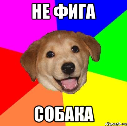 не фига собака, Мем Advice Dog