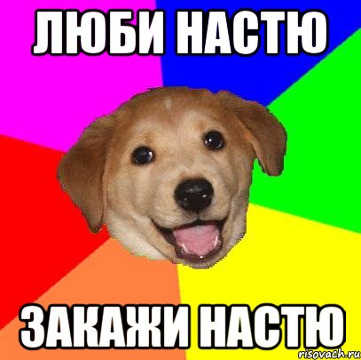 люби настю закажи настю, Мем Advice Dog