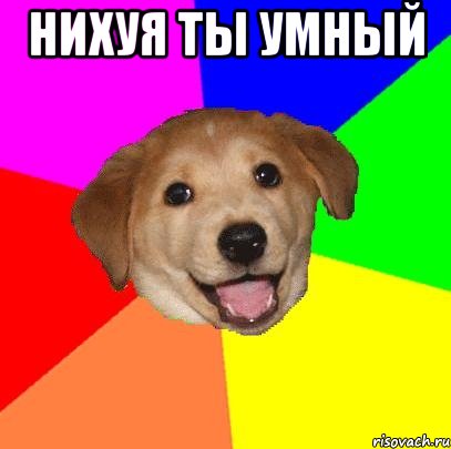 нихуя ты умный , Мем Advice Dog