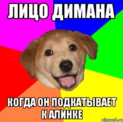 лицо димана когда он подкатывает к алинке, Мем Advice Dog