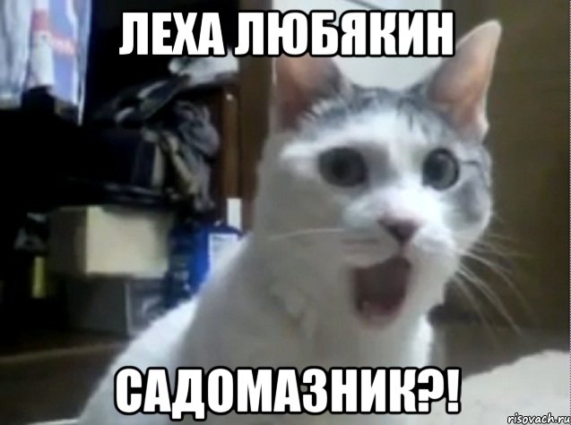 леха любякин садомазник?!