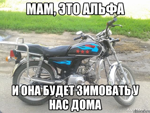 мам, это альфа и она будет зимовать у нас дома