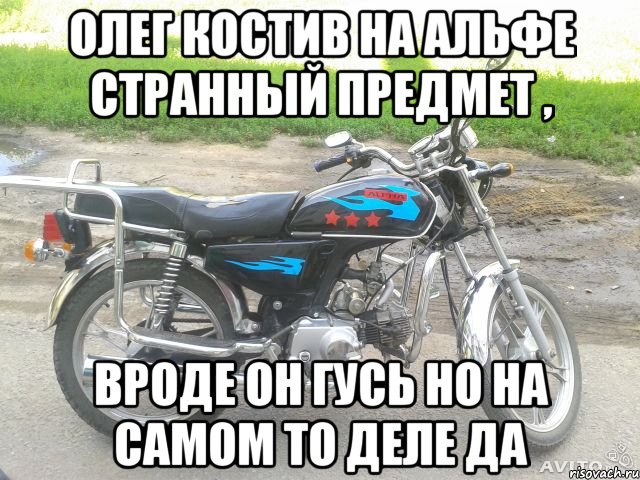 олег костив на альфе странный предмет , вроде он гусь но на самом то деле да