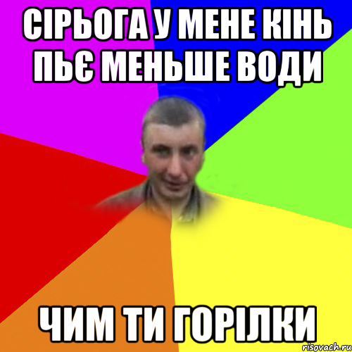 сірьога у мене кінь пьє меньше води чим ти горілки