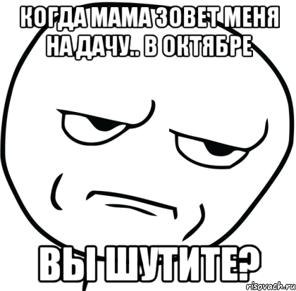 когда мама зовет меня на дачу.. в октябре вы шутите?, Мем Are you f cking kidding me