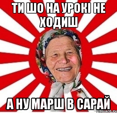 ти шо на урокі не ходиш а ну марш в сарай, Мем  бабуля