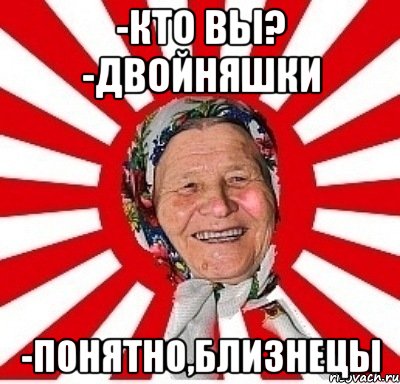 -кто вы? -двойняшки -понятно,близнецы, Мем  бабуля