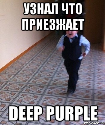 узнал что приезжает deep purple