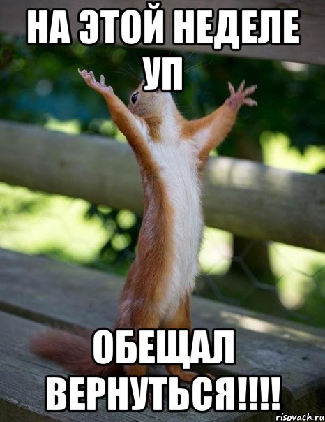 на этой неделе уп обещал вернуться!!!, Мем    белка молится