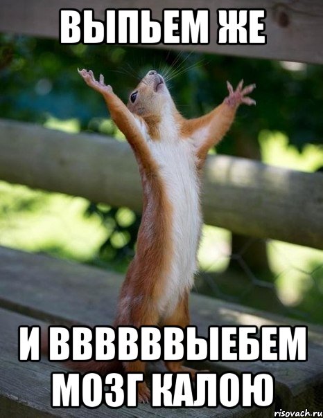 выпьем же и ввввввыебем мозг калою, Мем    белка молится