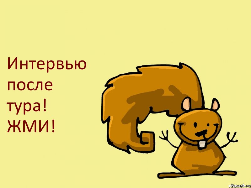 Интервью после тура! ЖМИ!, Комикс  белка