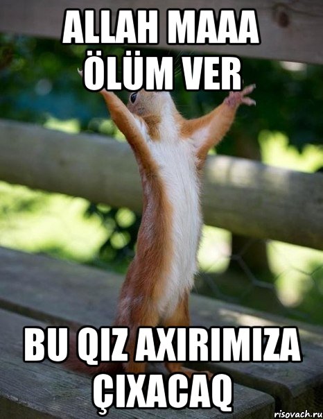 allah maaa ölüm ver bu qiz axırımıza çıxacaq, Мем    белка молится