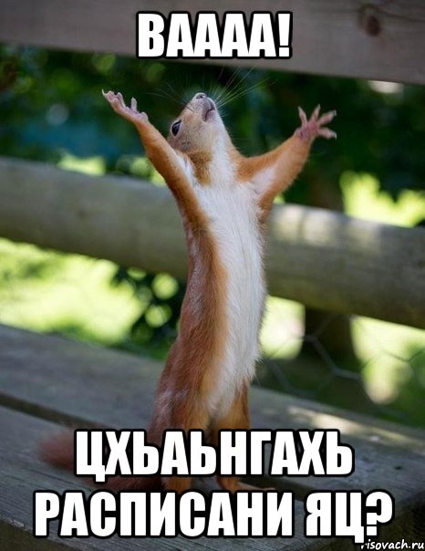 ваааа! цхьаьнгахь расписани яц?, Мем    белка молится