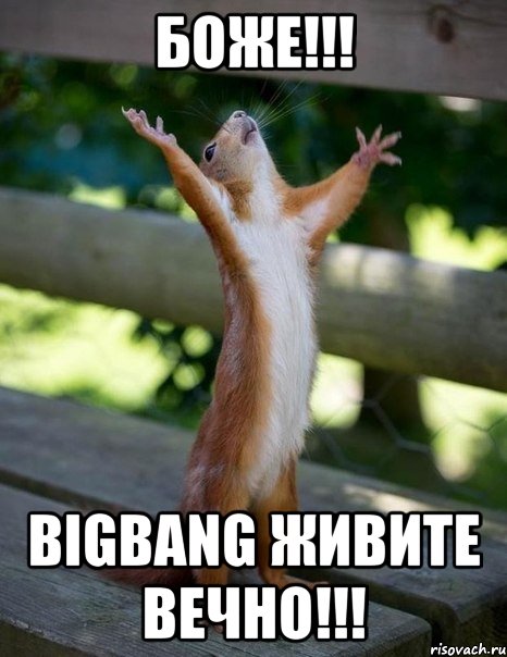 боже!!! bigbang живите вечно!!!, Мем    белка молится