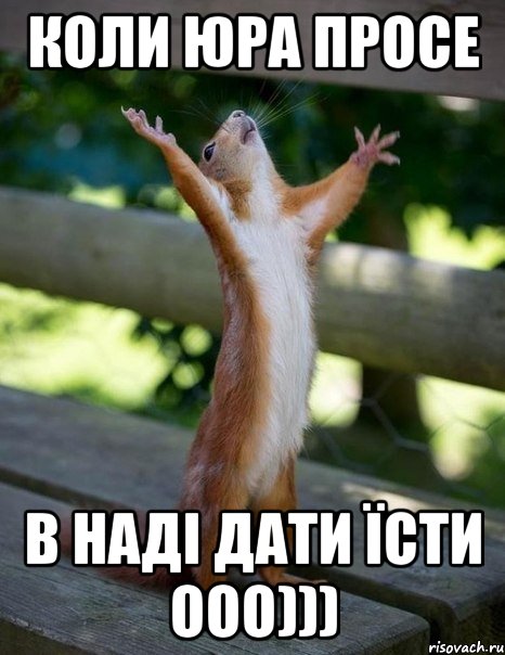 коли юра просе в наді дати їсти ооо))), Мем    белка молится