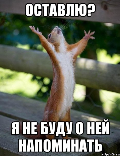 оставлю? я не буду о ней напоминать, Мем    белка молится