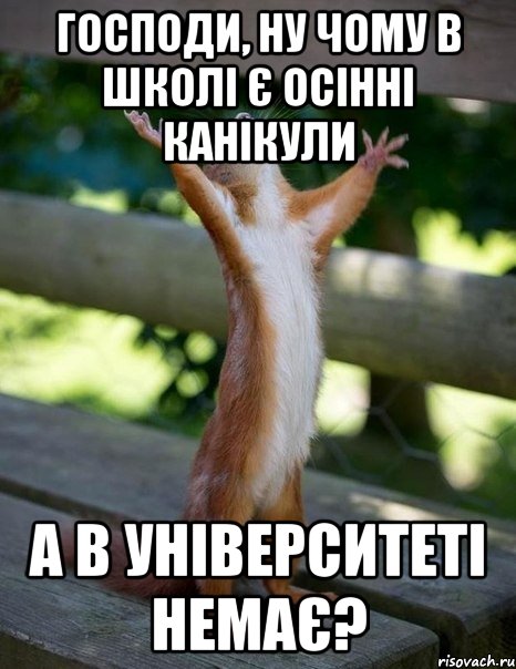 господи, ну чому в школі є осінні канікули а в університеті немає?, Мем    белка молится