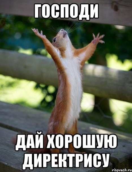 господи дай хорошую директрису, Мем    белка молится