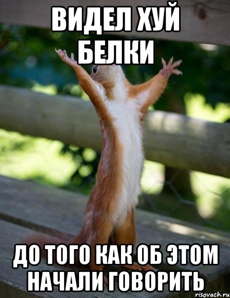 видел хуй белки до того как об этом начали говорить, Мем    белка молится