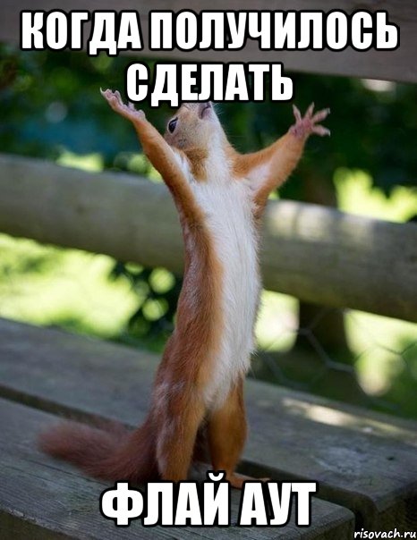 когда получилось сделать флай аут, Мем    белка молится