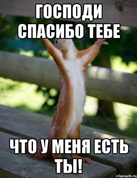 господи спасибо тебе что у меня есть ты!, Мем    белка молится