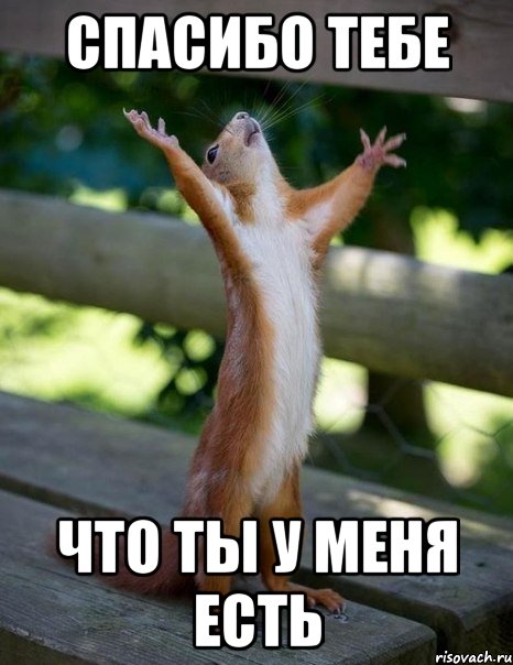 спасибо тебе что ты у меня есть, Мем    белка молится
