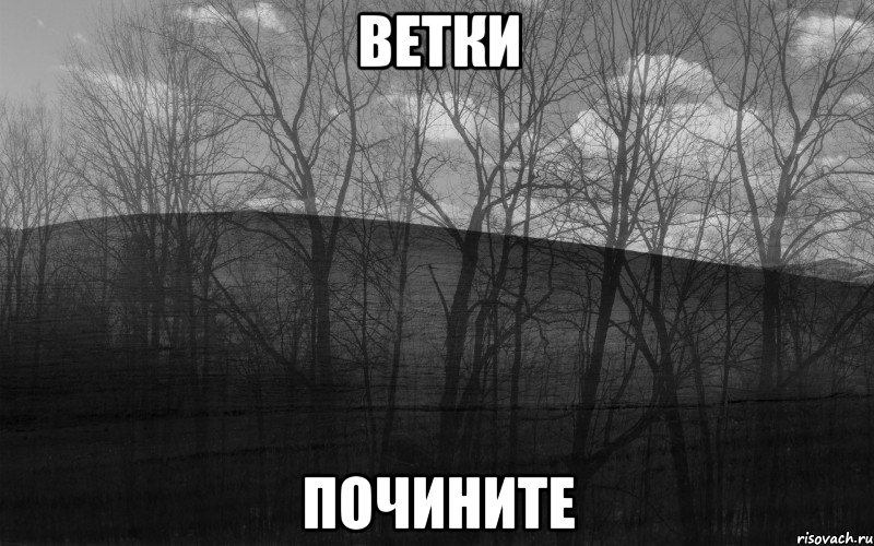 ветки почините