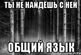 ты не найдёшь с ней общий язык, Мем безысходность