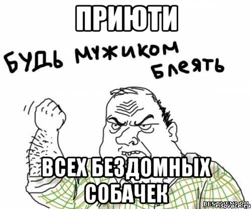 приюти всех бездомных собачек, Мем блять