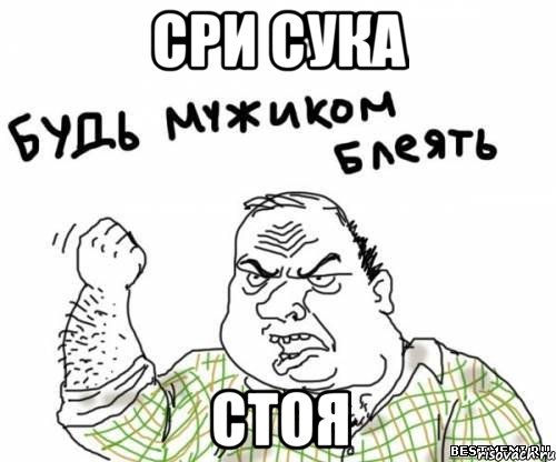 сри сука стоя, Мем блять