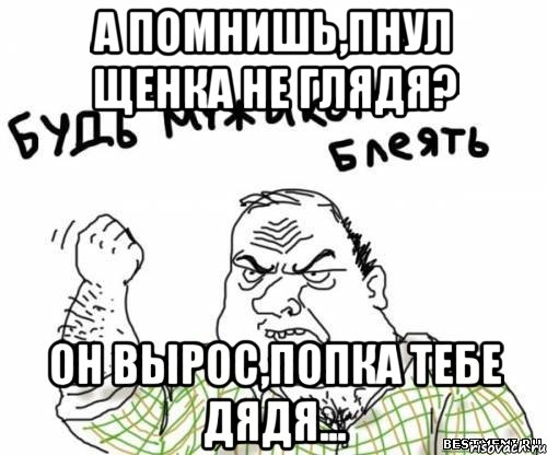 а помнишь,пнул щенка не глядя? он вырос,попка тебе дядя..., Мем блять