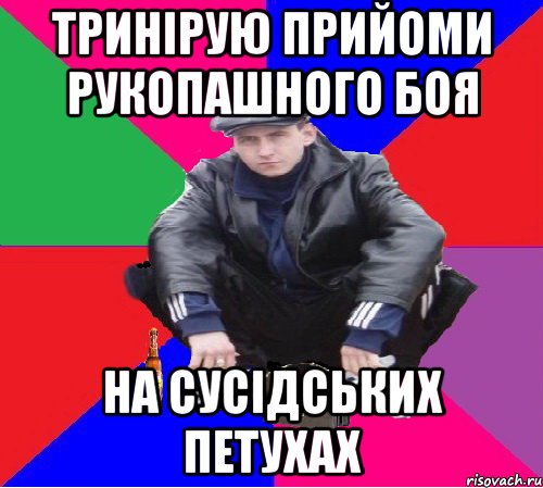 тринірую прийоми рукопашного боя на сусідських петухах
