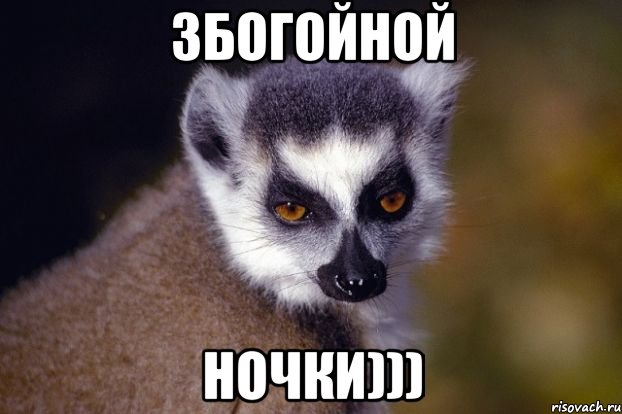 збогойной ночки)))