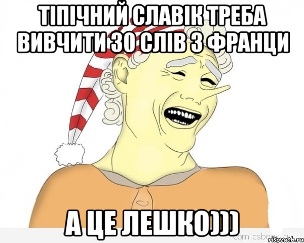 тіпічний славік треба вивчити 30 слів з франци а це лешко)))